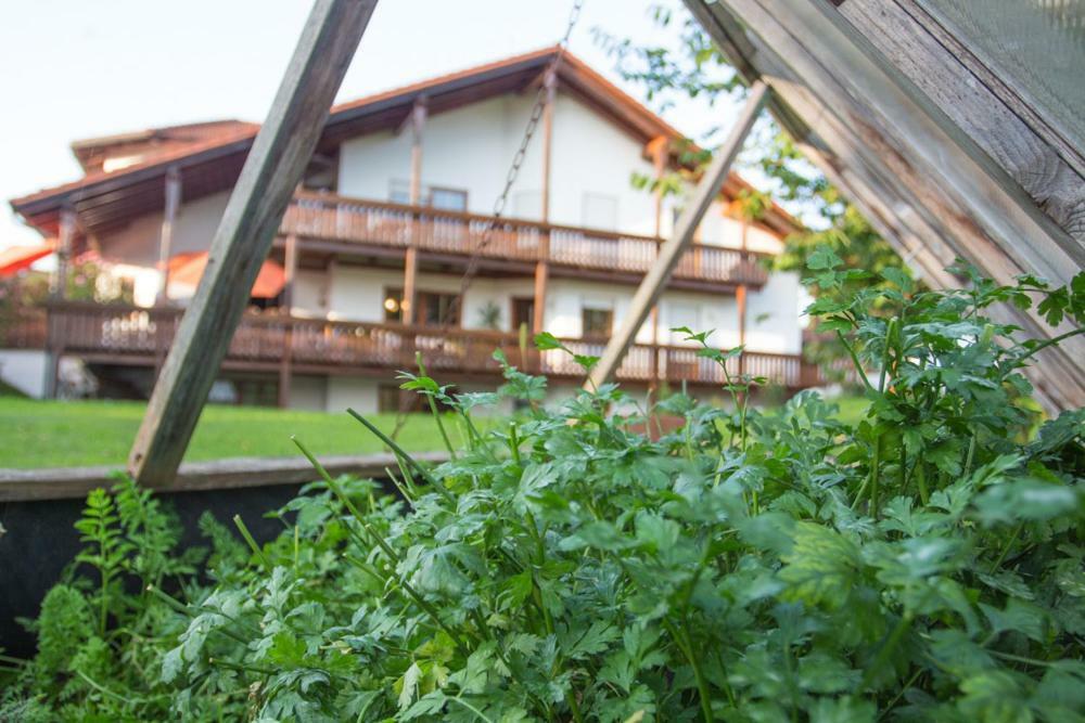 Auszeit-Wohnungen Aidenbach المظهر الخارجي الصورة